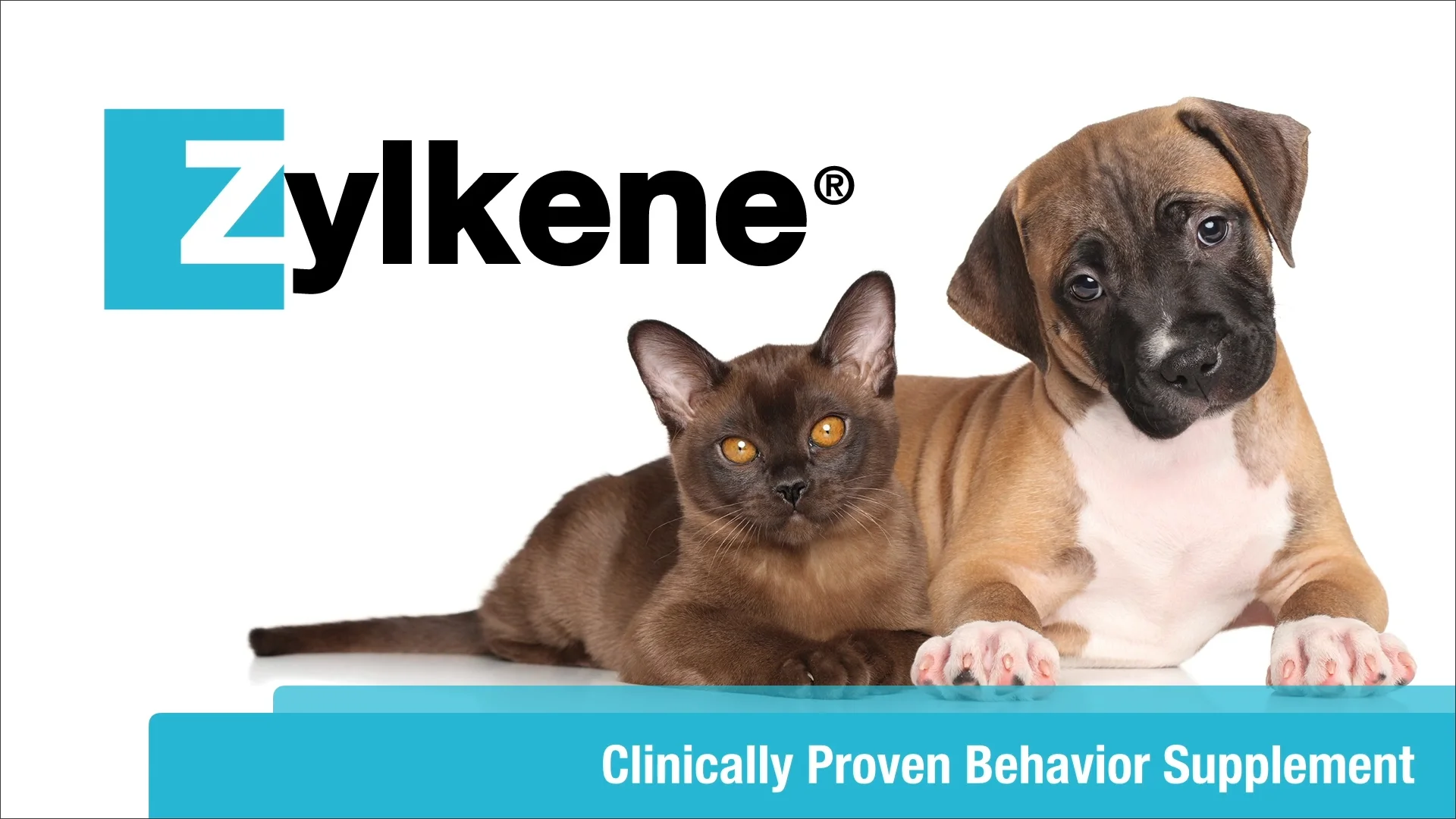 Zylkene®  Vetoquinol USA