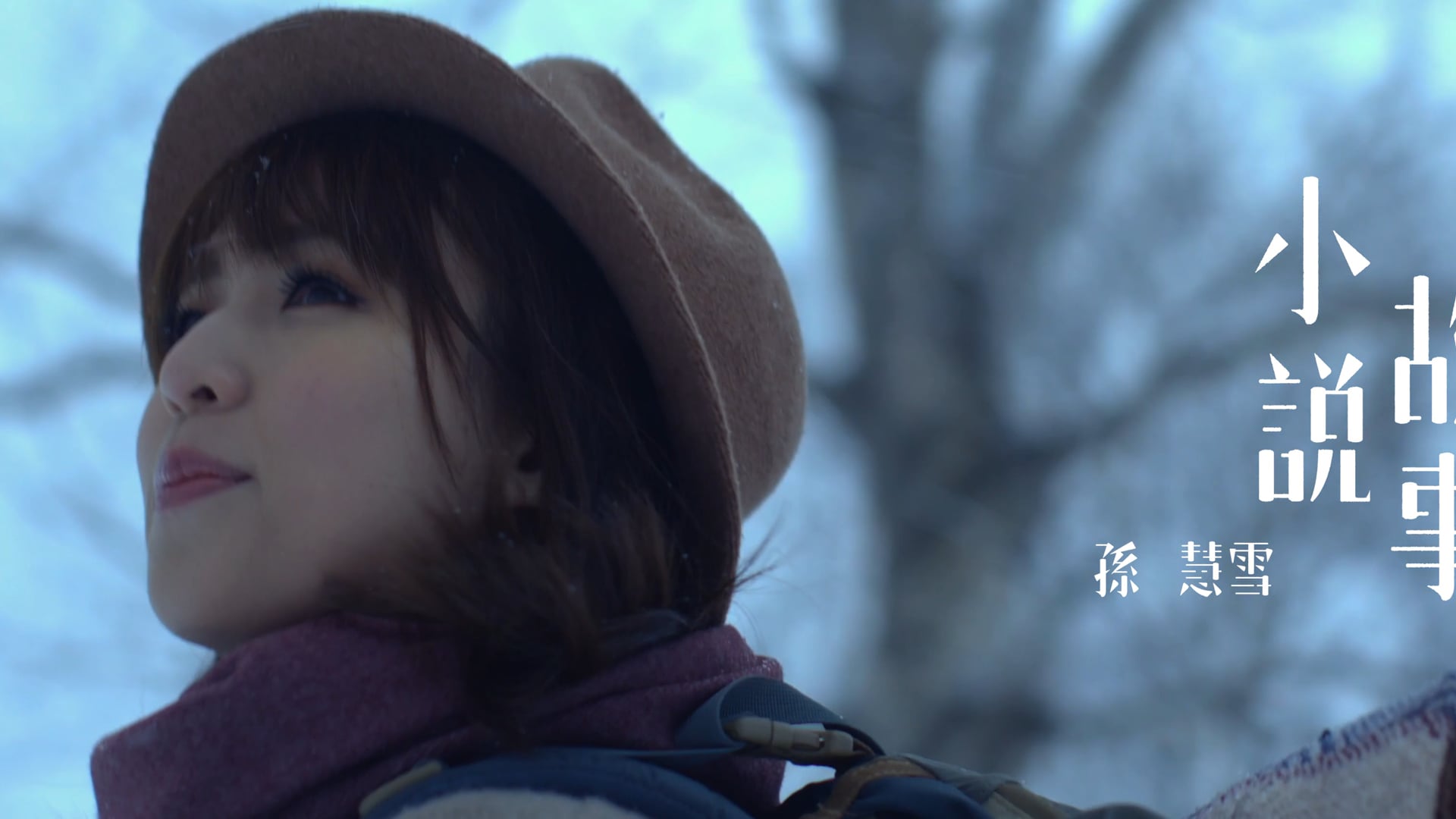 孫慧雪 - 《小說故事》預告