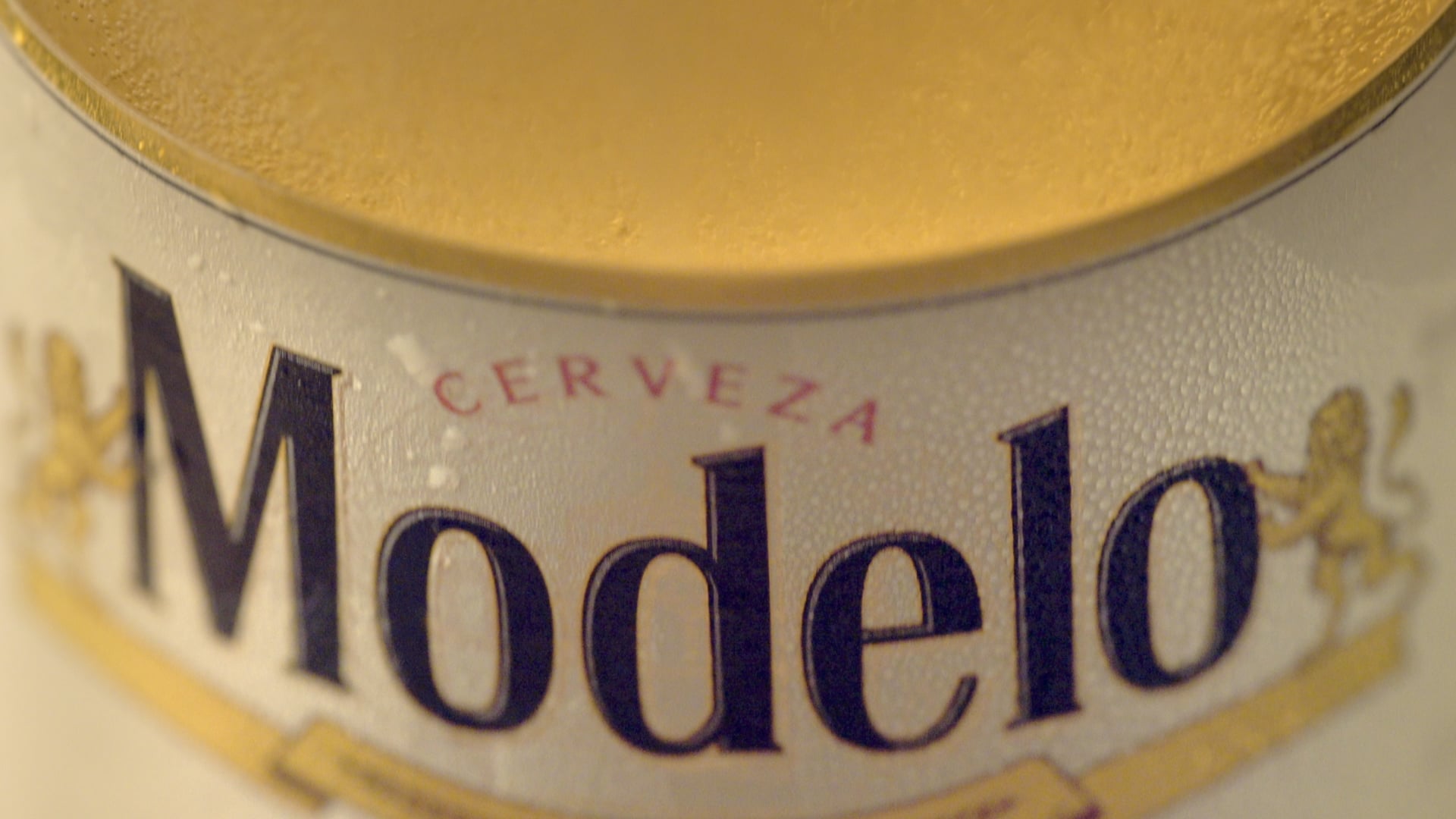 Modelo "We're Excited Too"