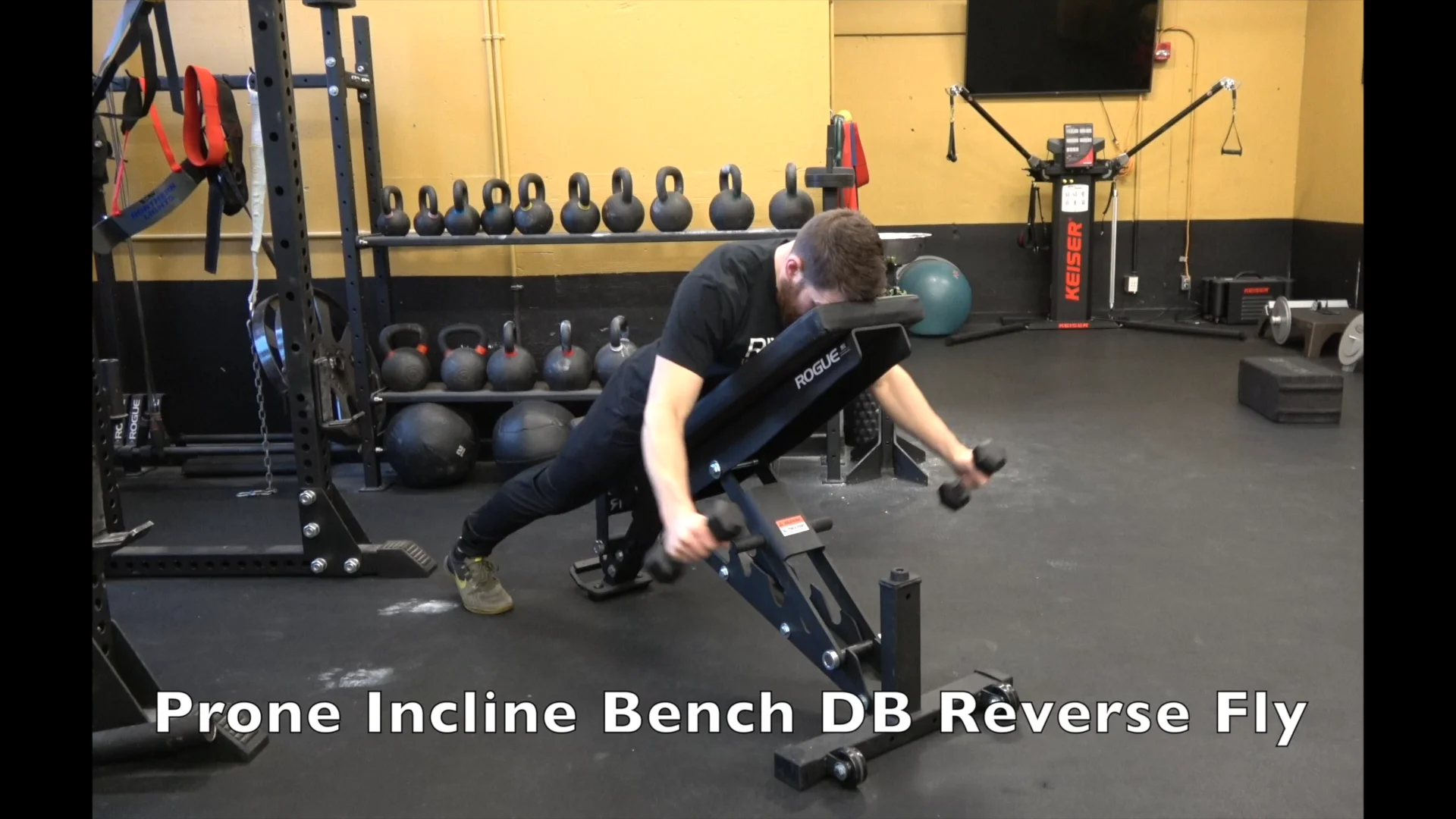 Incline discount reverse fly