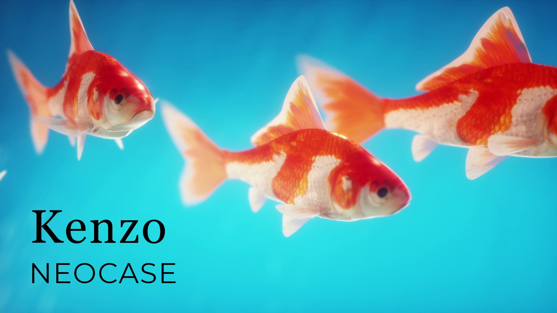 Kenzo A