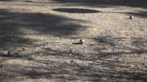 S'estrena la pista de petanca reacondicionada a Riells de Dalt
