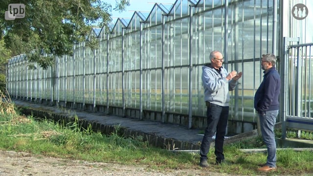 Energie voor de gerbera deel 2