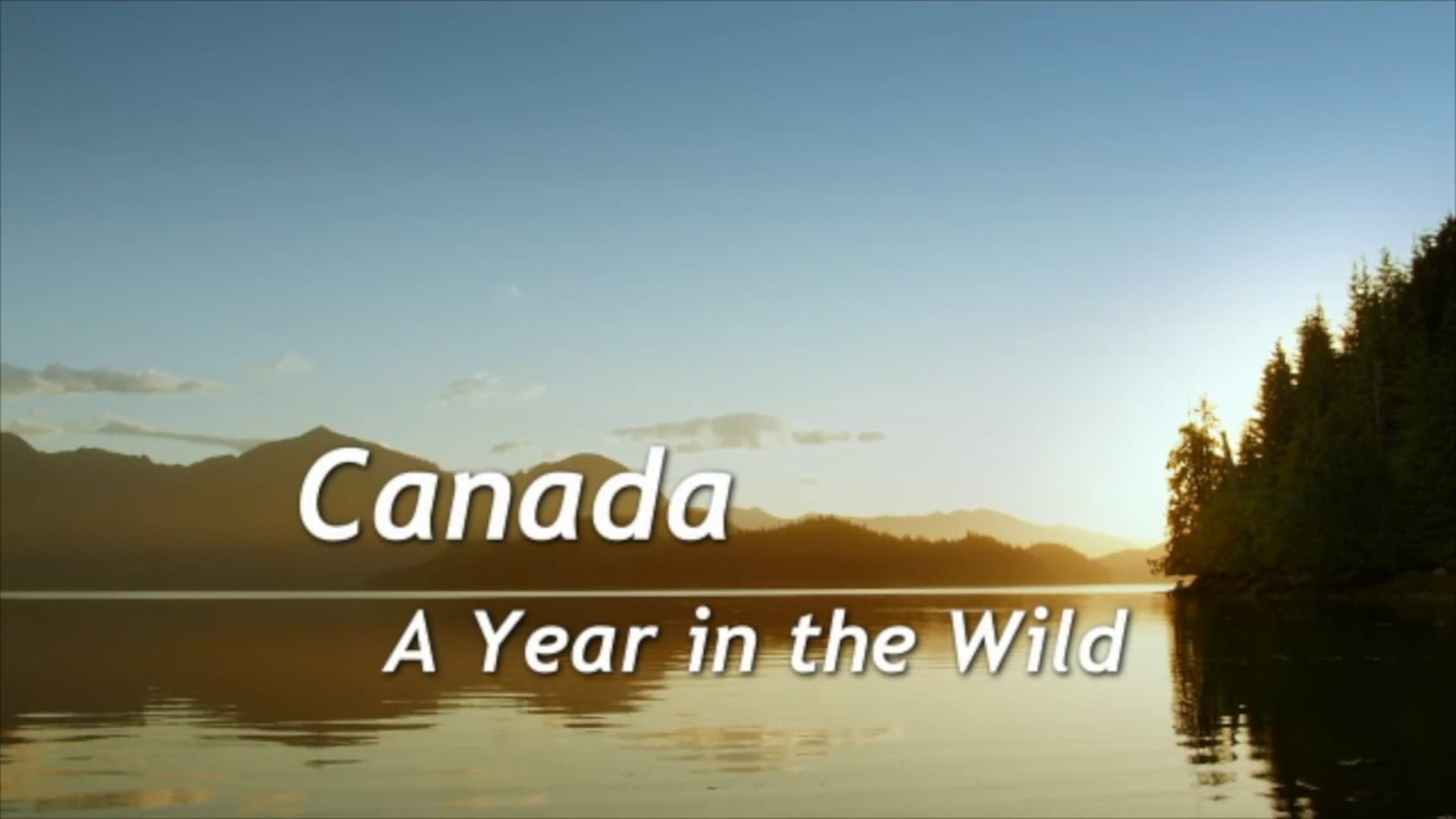 AYITW CANADA snippet
