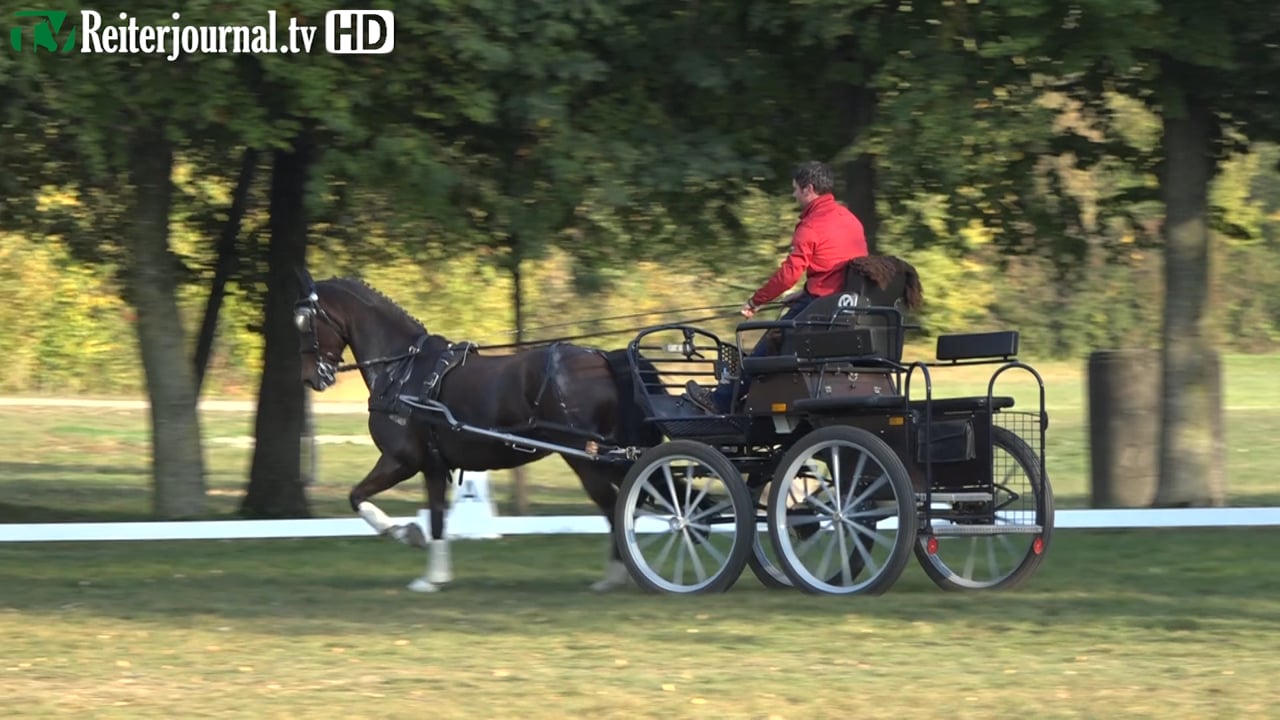 Richtig Fahren mit Fabian Gänshirt und Philipp Faißt - www.reiterjournal.com