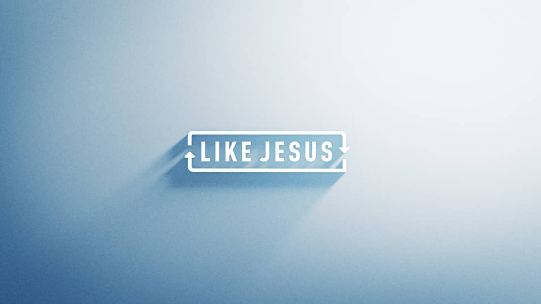Like Jesus A Disciple Making Discipleship Training Resource For Your Church Or Ministry Dr Dann Spader Sonlife