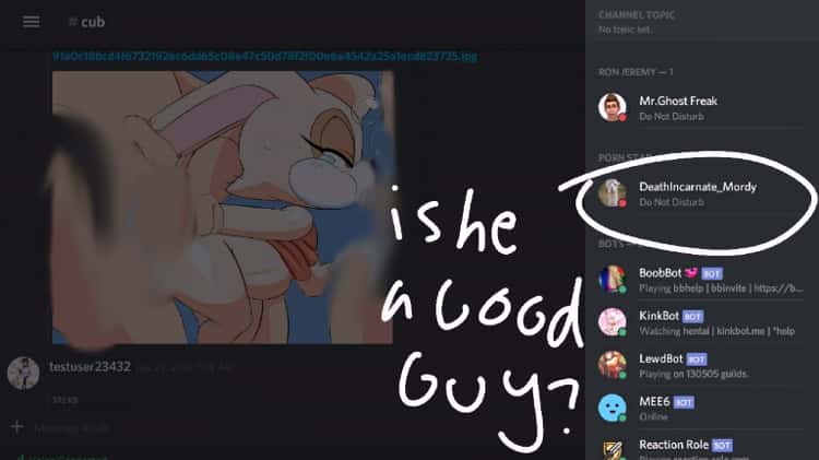 Discord still has cub porn on Vimeo 