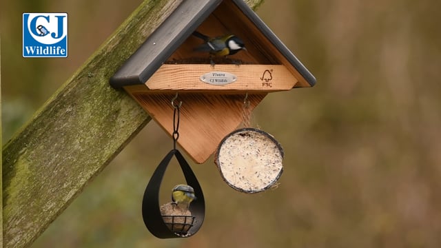 CJ Wildlife Yellowstone Feeder