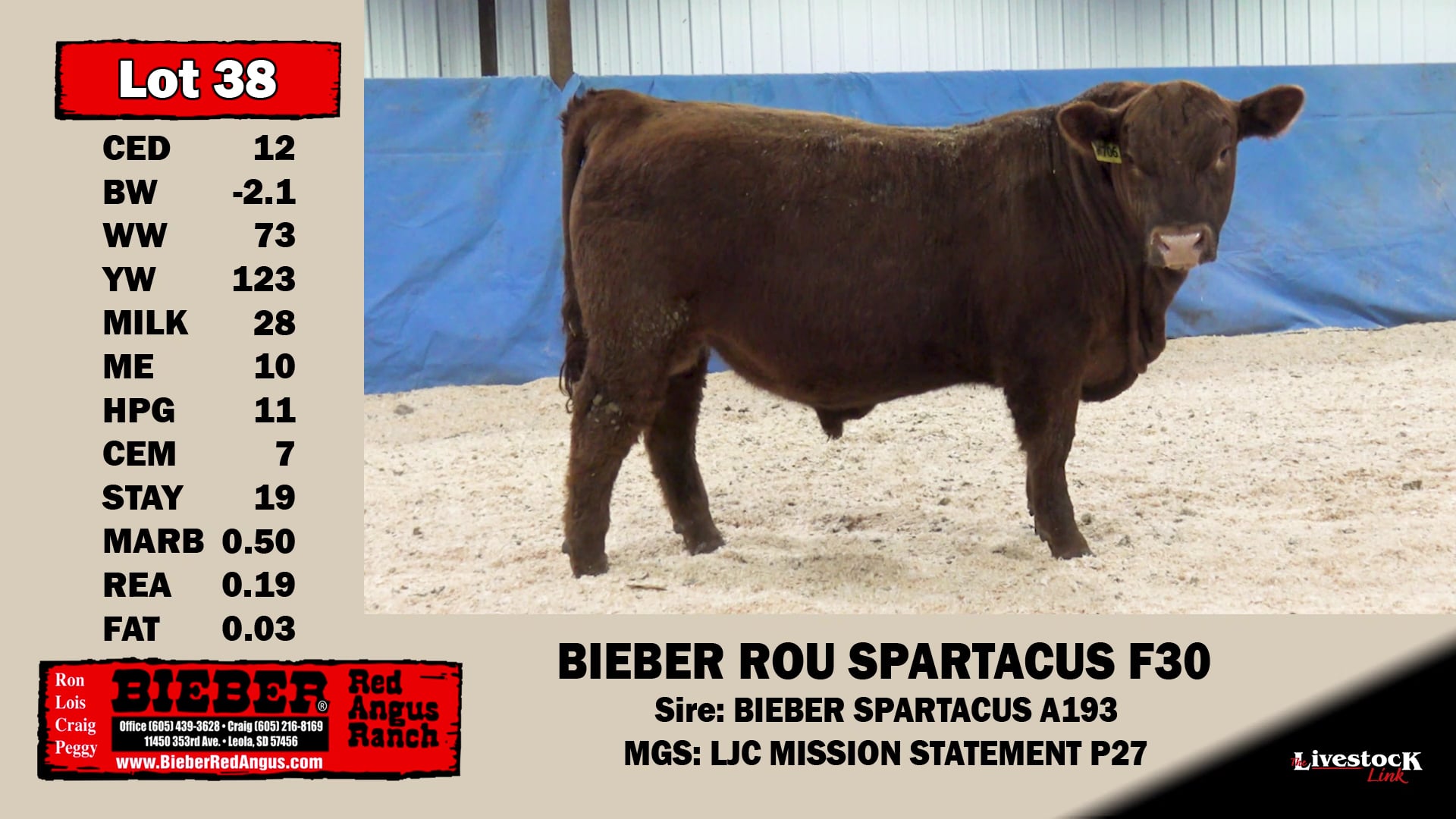 Bieber Red Angus Ranch Lot 38 on Vimeo