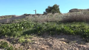 Els ports de la comarca rebran una injecció de 2,2 milions en els propers quatre anys