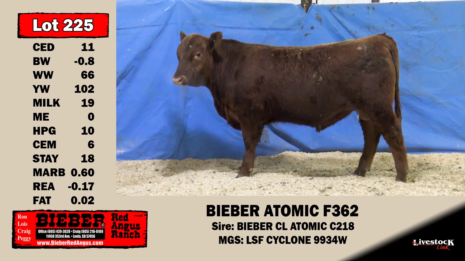 Bieber Red Angus Ranch Lot 225 on Vimeo