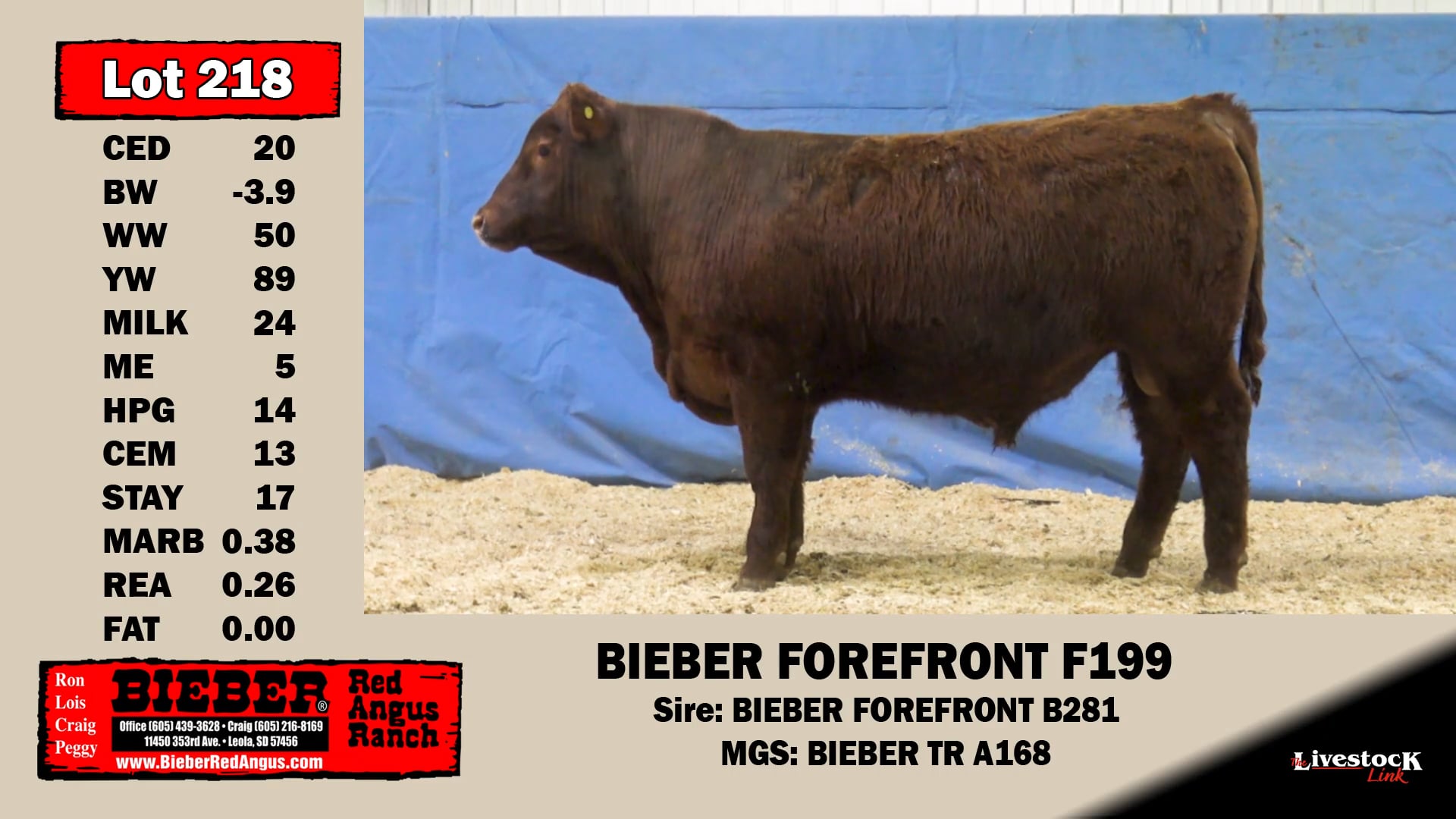 Bieber Red Angus Ranch Lot 218 on Vimeo