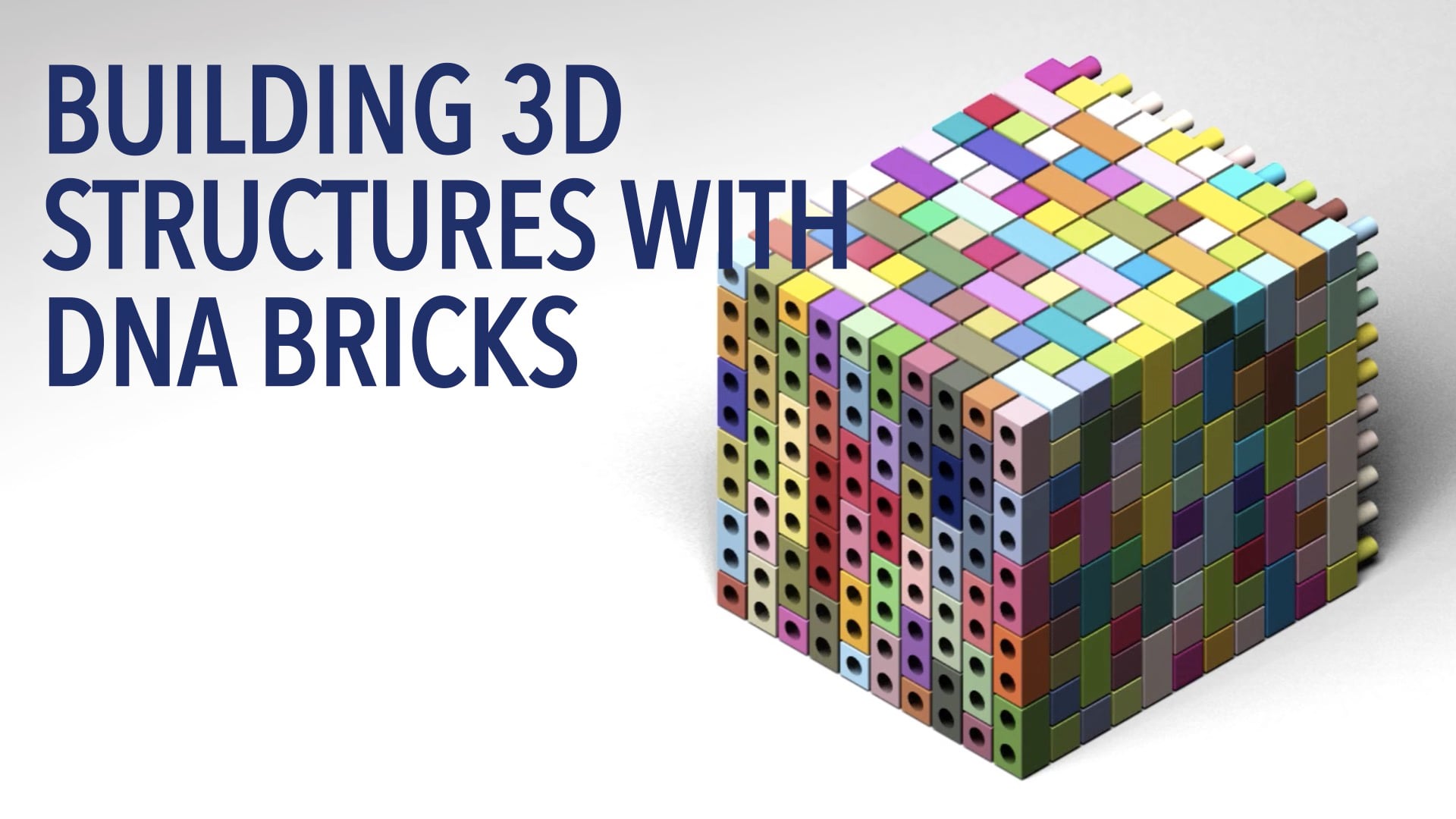 Building 3D Structures with DNA Bricks