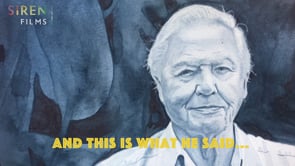 What does David Attenborough think of Siren’s films? thumbnail
