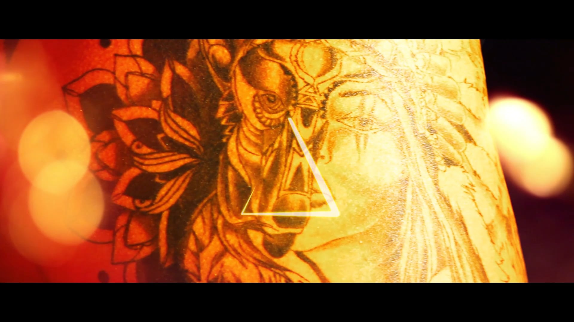 DAVINA @ LE TRIANGLE D'OR // JANV 2019 //