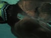 Teaser // Those From Shallow Waters