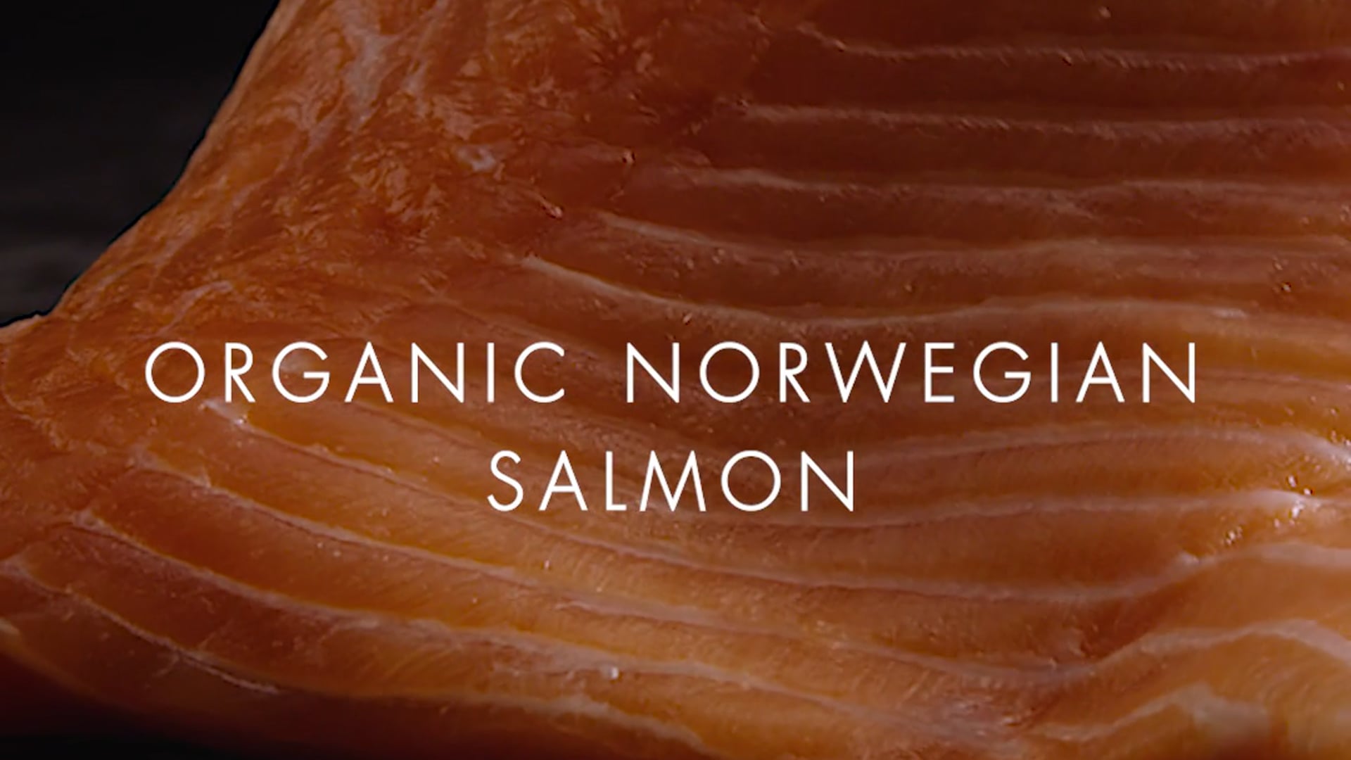 CFH Summer Festive : Norwegian Salmon