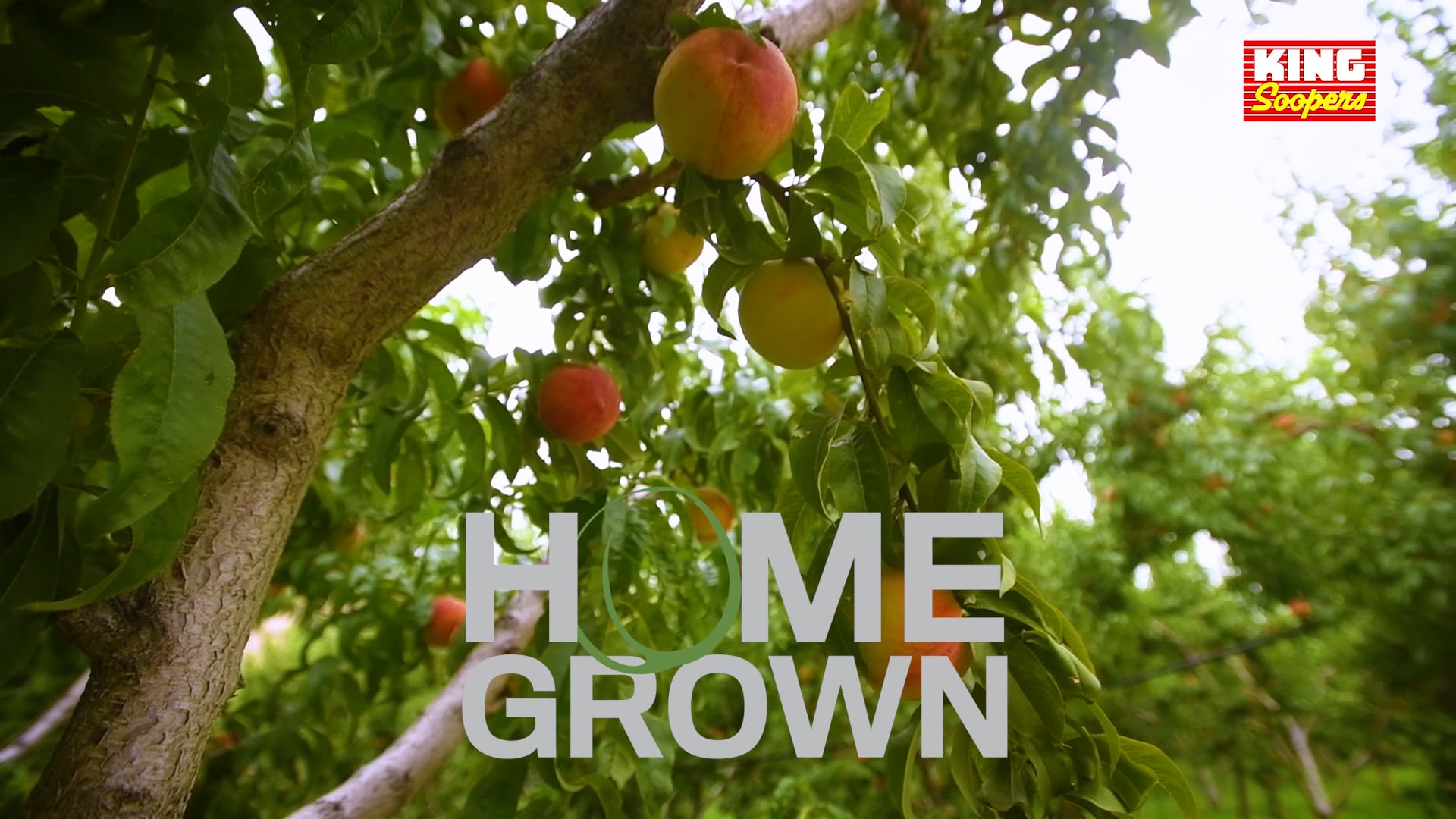 Homegrown: Palisade Peaches