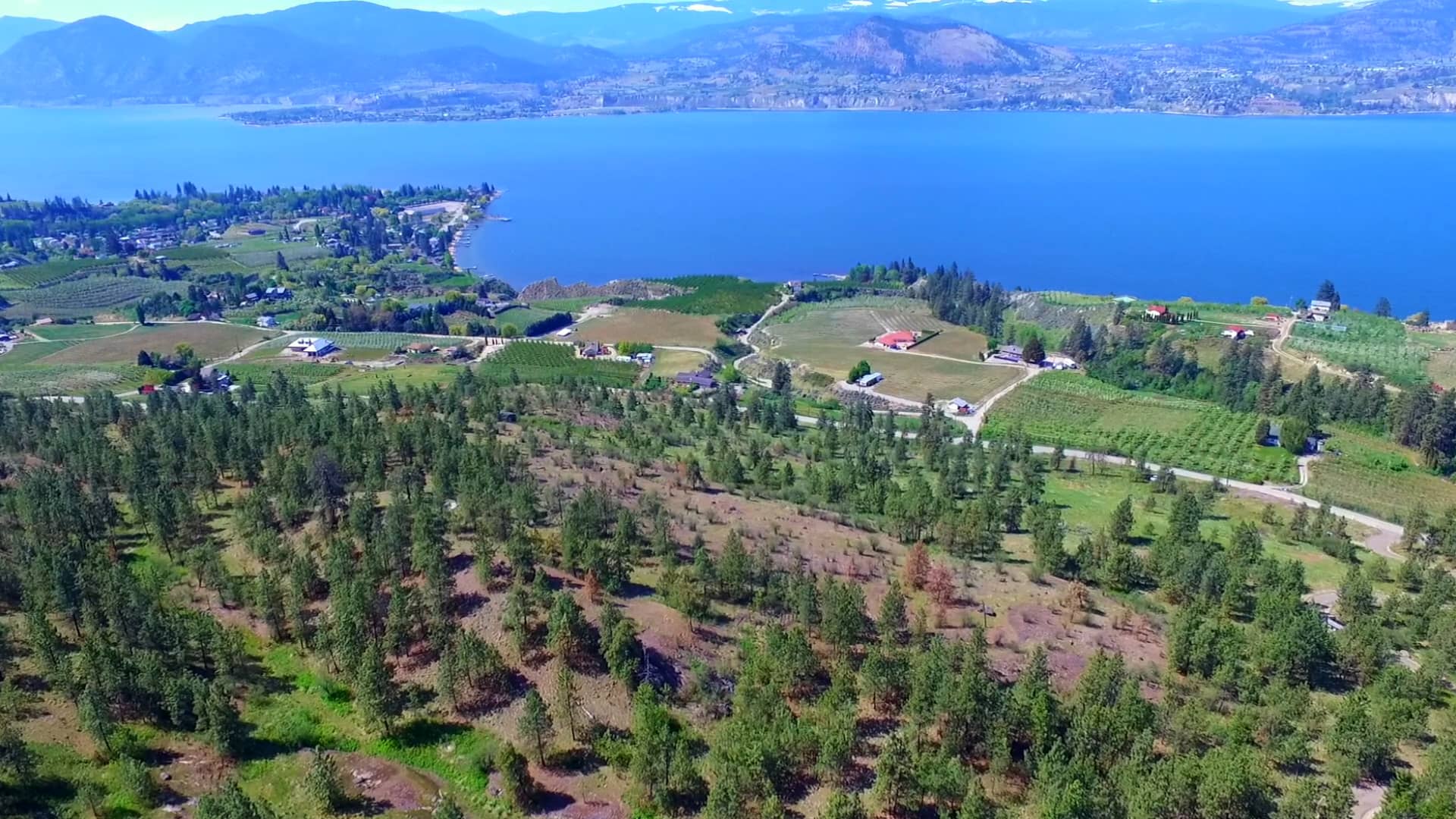 Grace Estates Naramata Overhead Drone on Vimeo