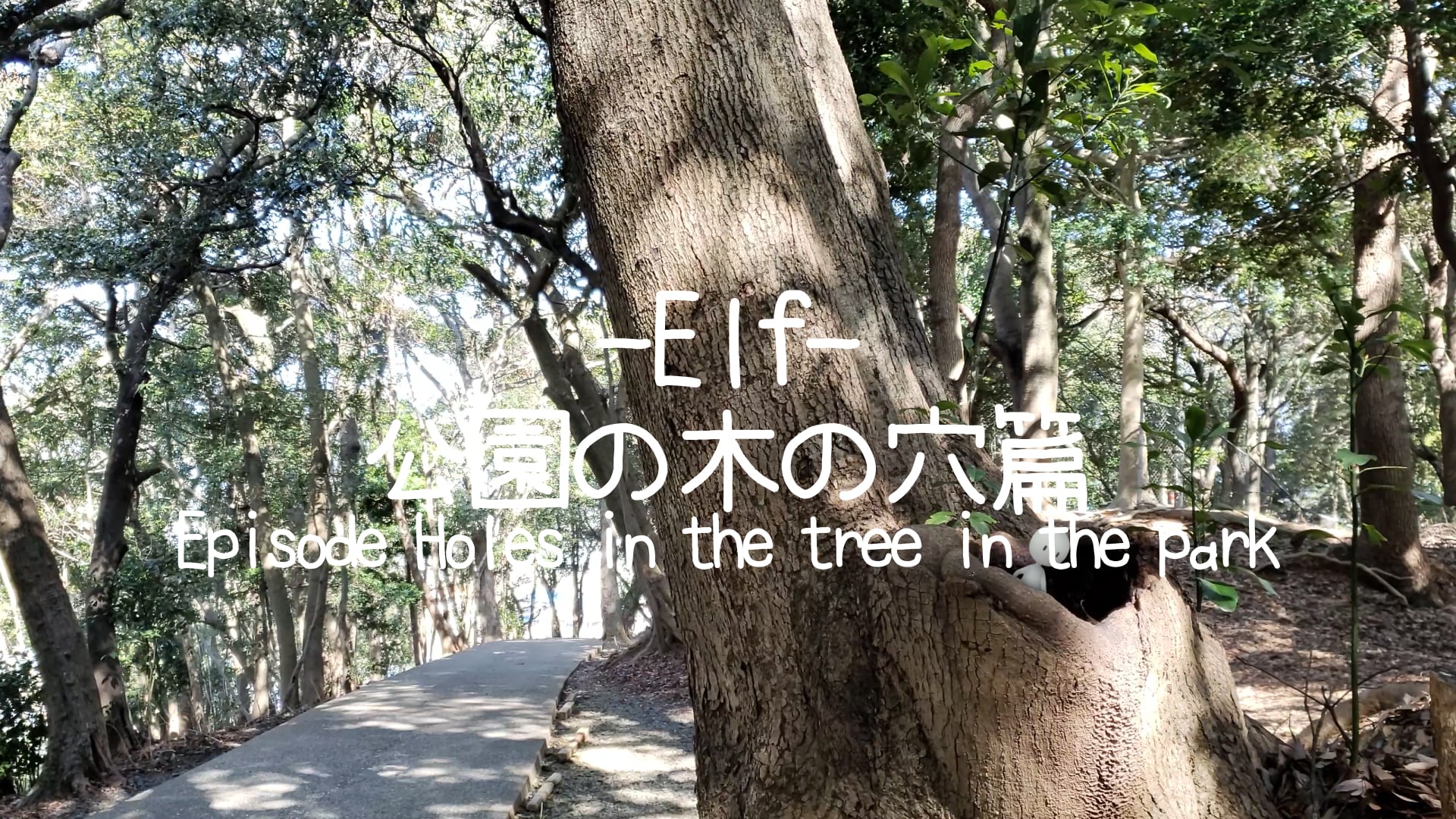 Elf 公園の木の穴篇-Episode Holes in the tree in the park-