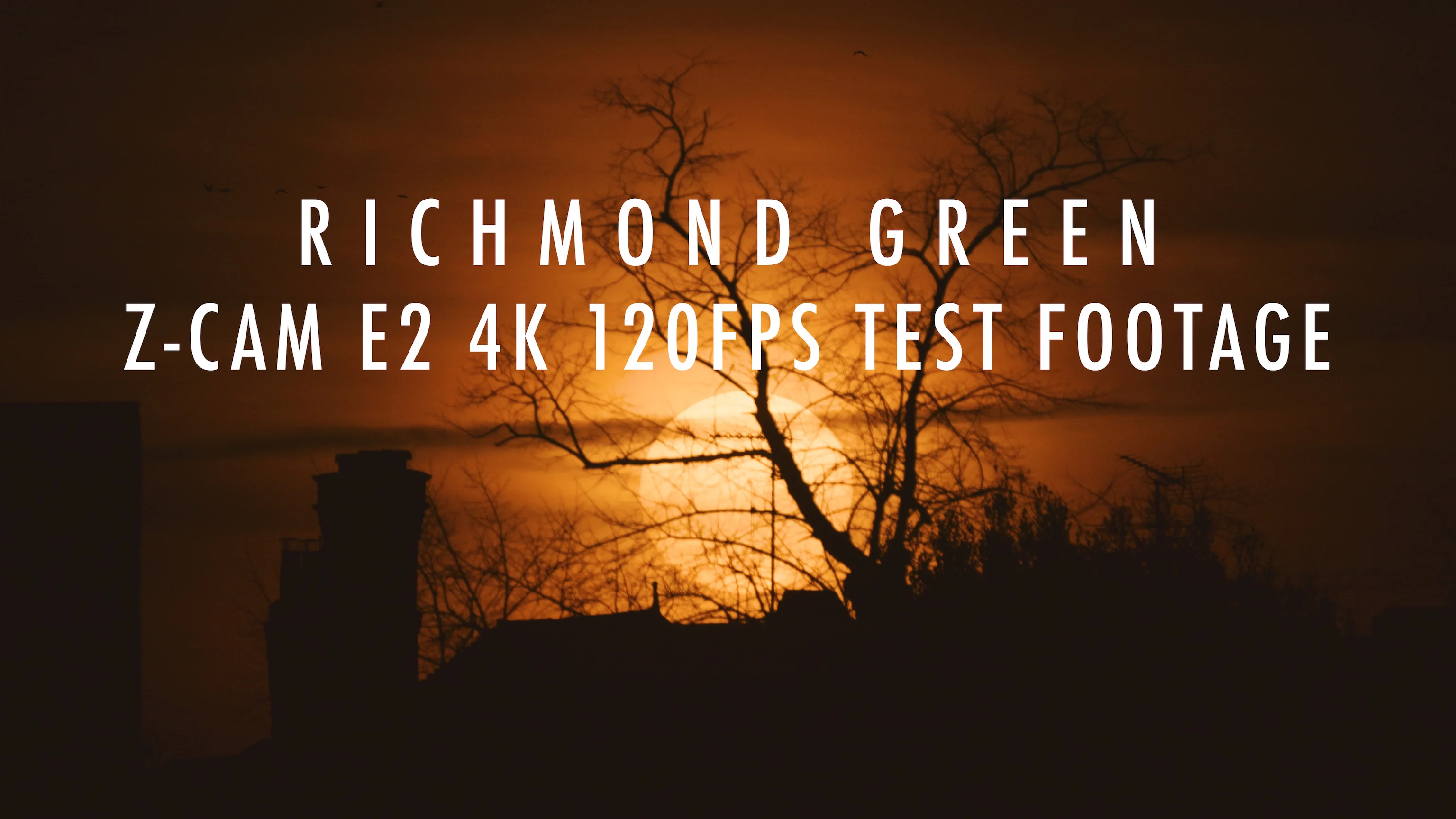 Richmond Green: 4K 120fps Z-Cam E2