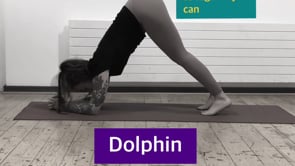 HEAD STAND PREPARATORY POSES