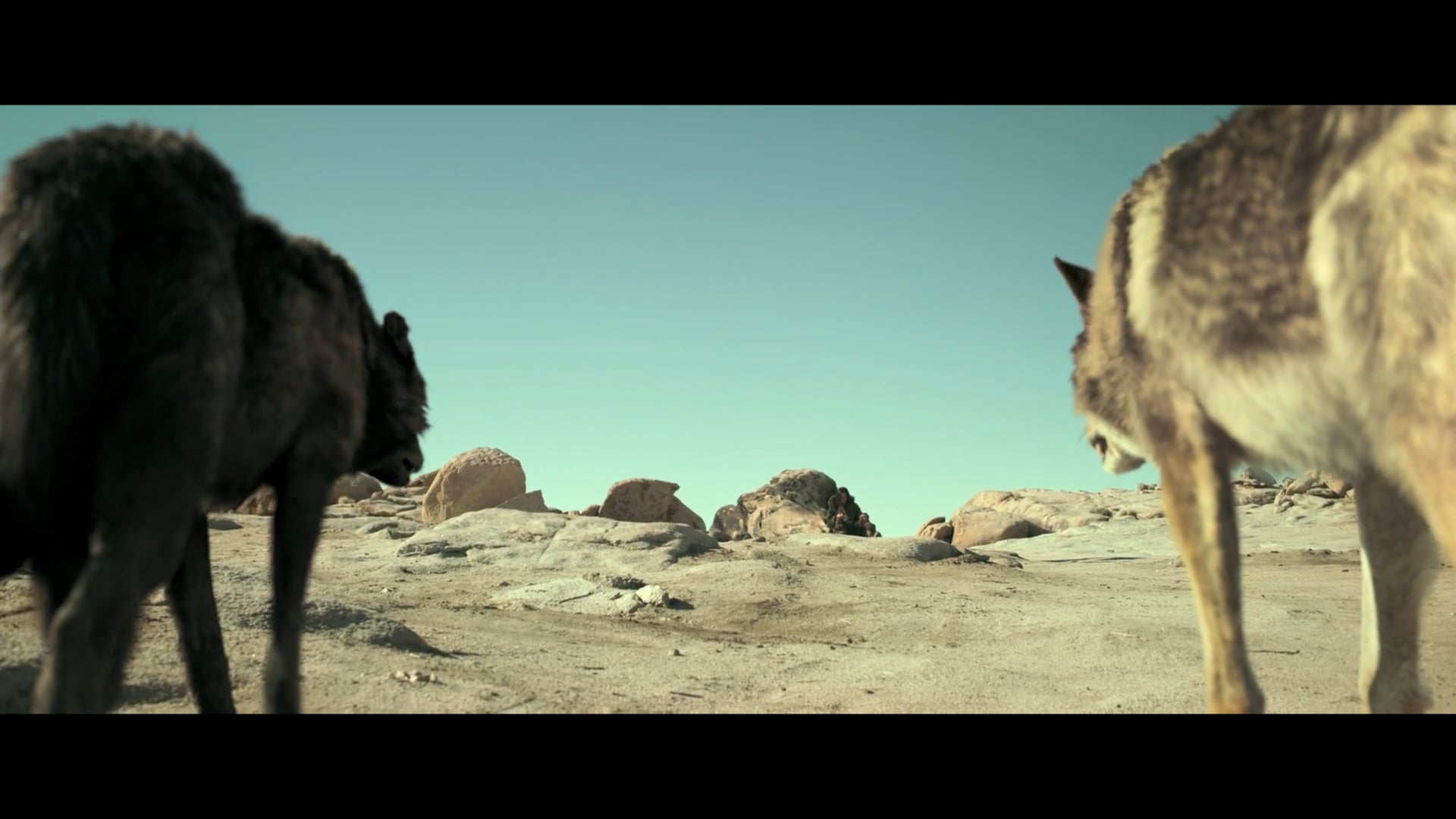 Demoreel 2019