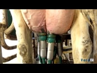 Ganadería Tío Ramón