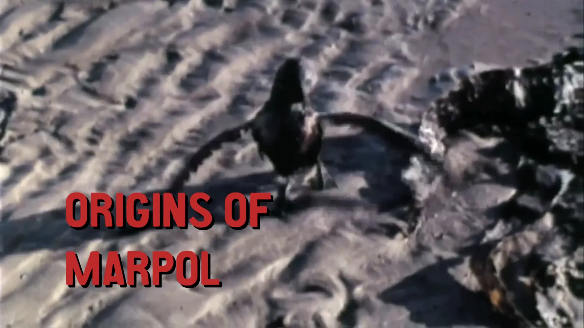 Origins of MARPOL on Vimeo