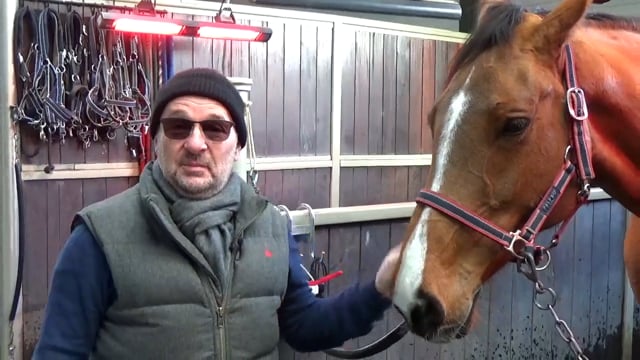 Horse Solariums - Specialist Equestrian Heater Advice