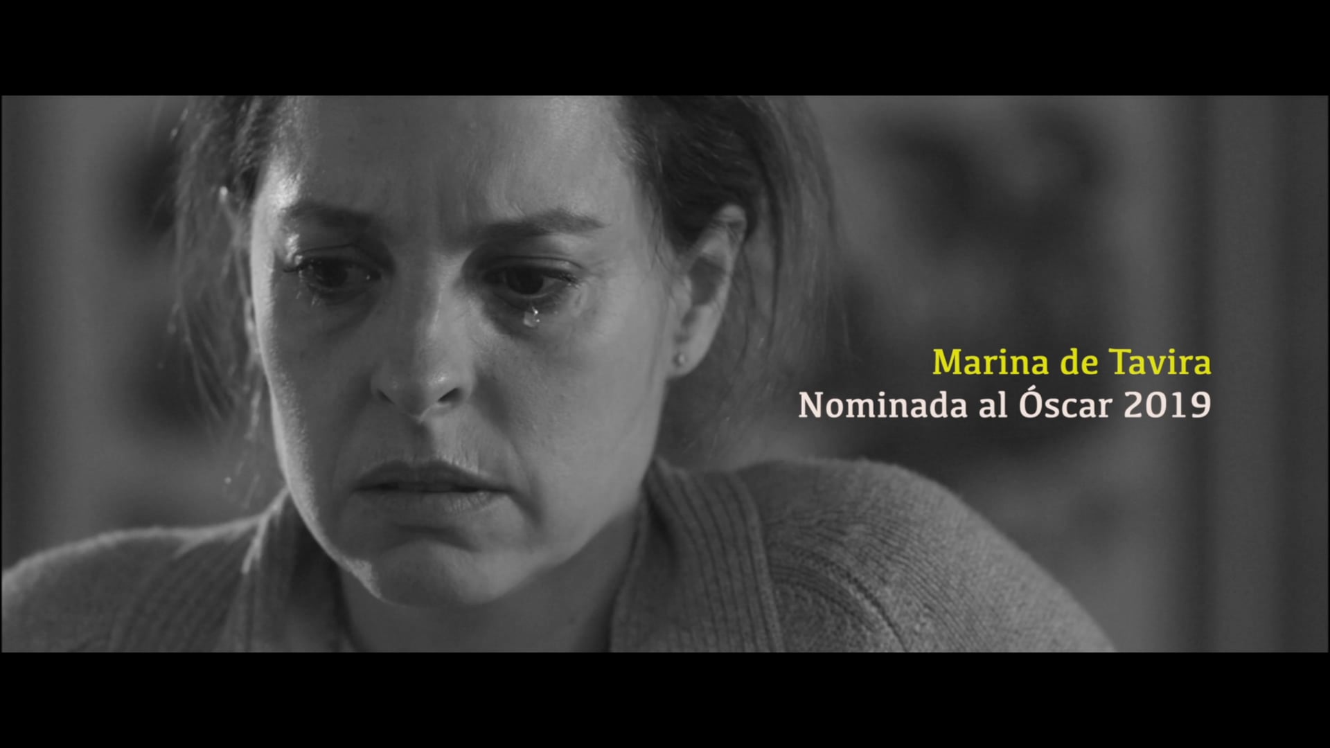 Trailer Oficial  Niebla de Culpa  2019