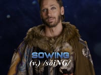 Lingo Lessons: Sowing