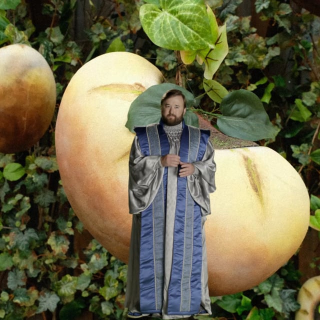 Visions of the Future: All-Bean