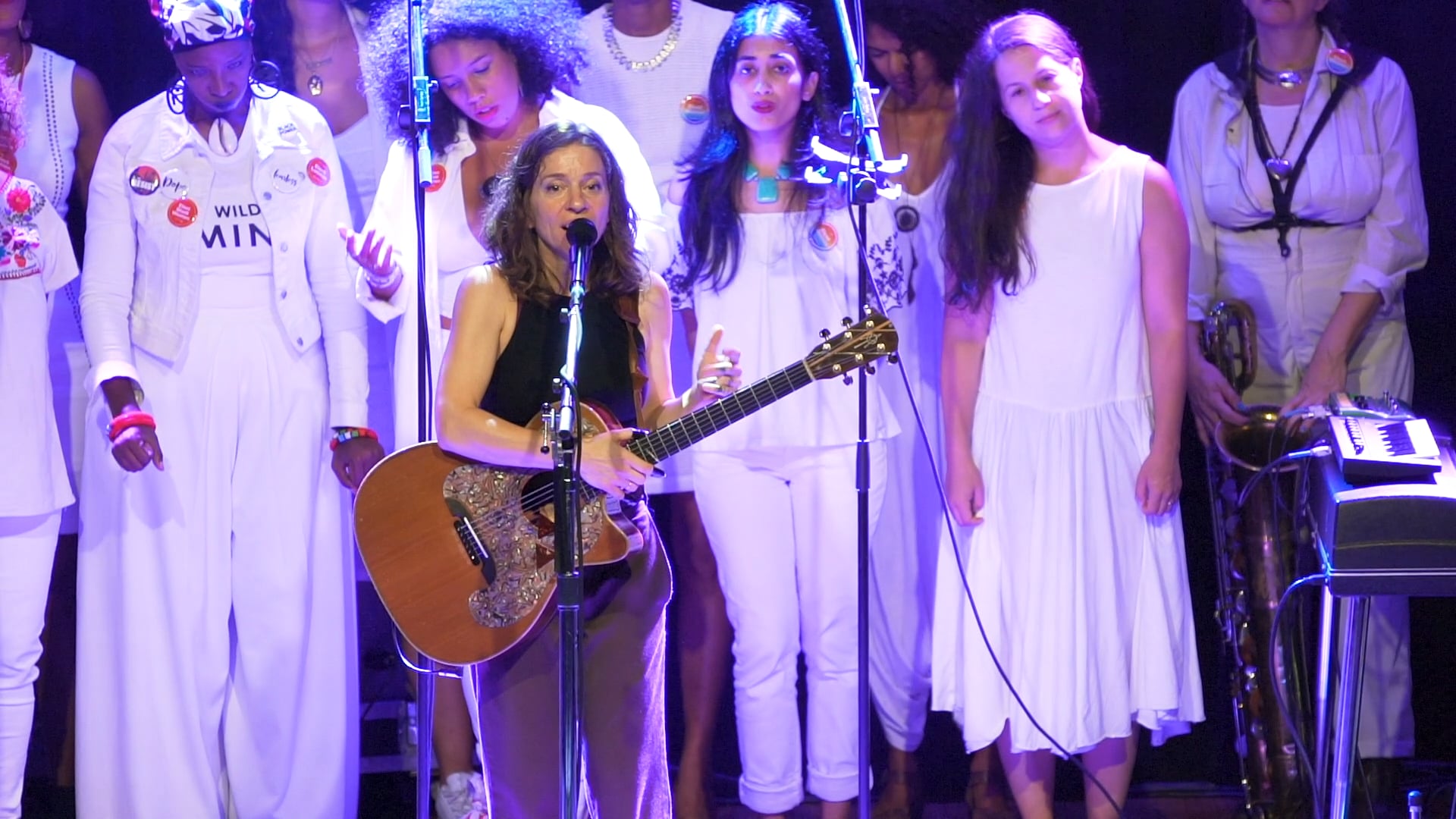 "JOYFUL" Ani DiFranco