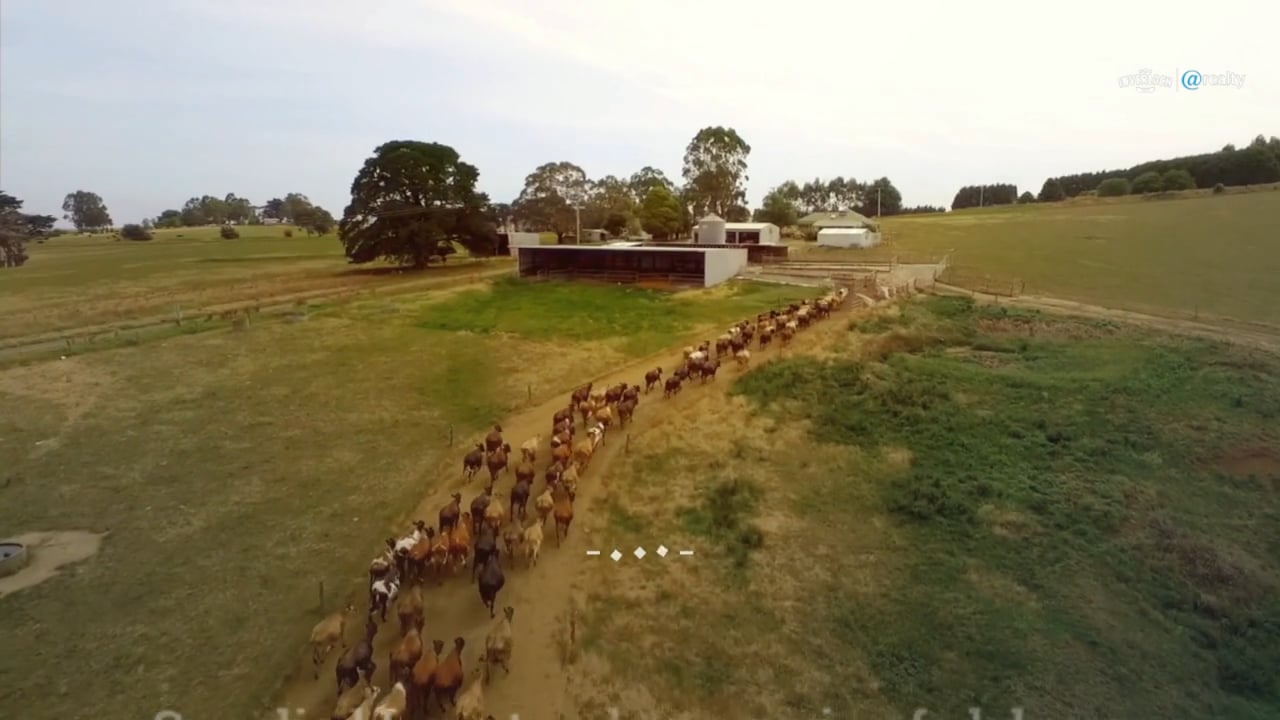 Impressive 452 Acre South Gippsland Dairy Farm For Sale on Vimeo
