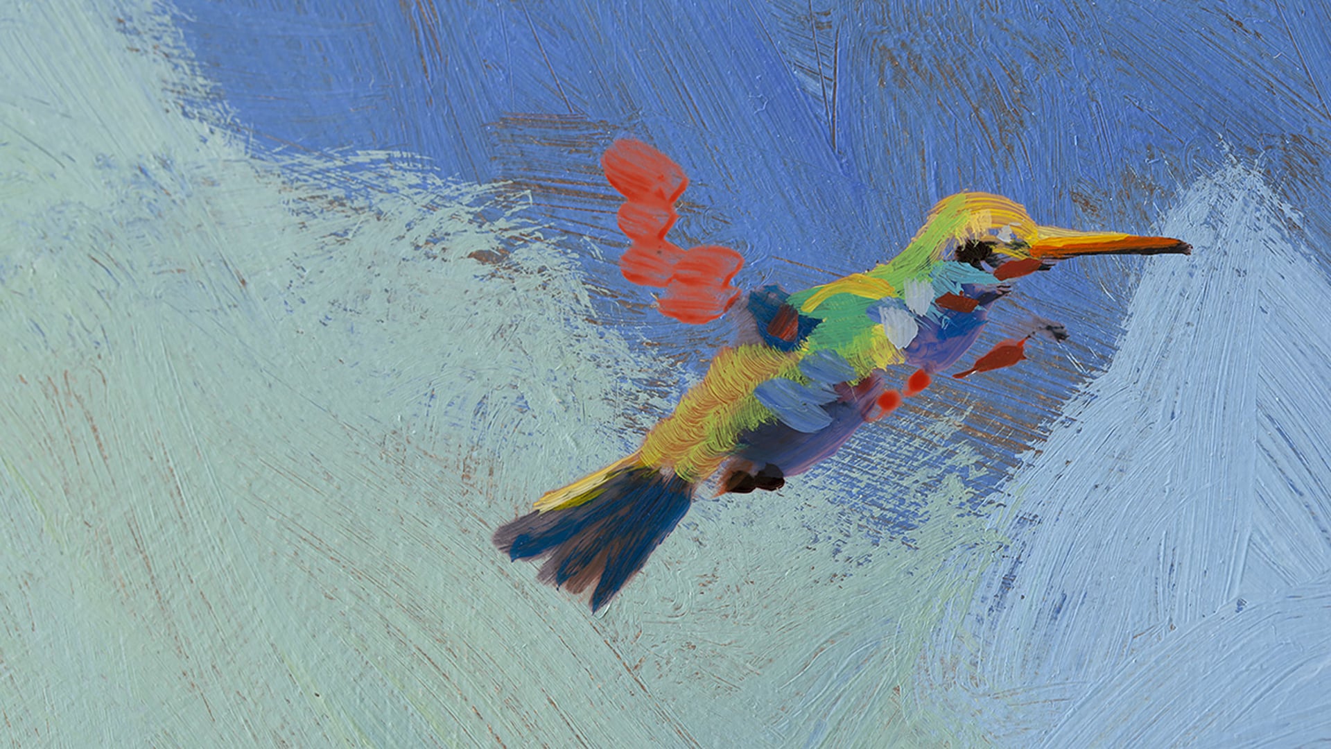 Hummingbird 1 minute animation loop