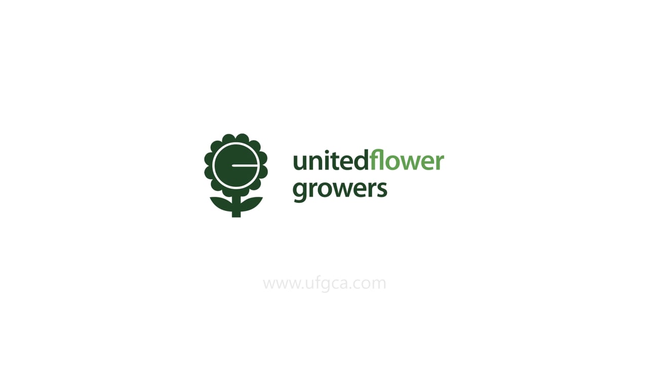United Flower Growers 