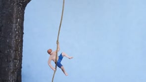Related Embedded Video Item Thumbnail