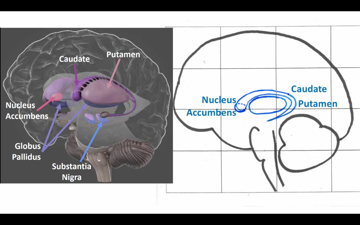 DA_Pathways on Vimeo