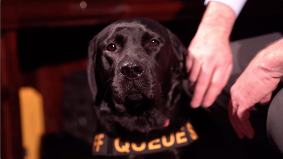 Electronic Detection K9 - ICAC Taskforce