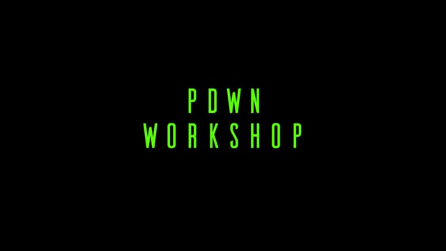 PDWN Workshop