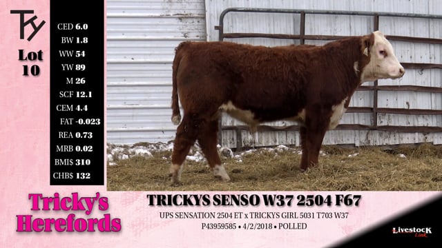 Lot #10 - TRICKYS SENSO W37 2504 F67