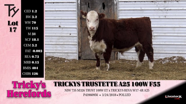 Lot #17 - TRICKYS TRUSTETTE A25 100W F55