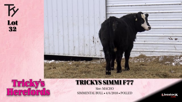 Lot #32 - TRICKYS SIMMI F77
