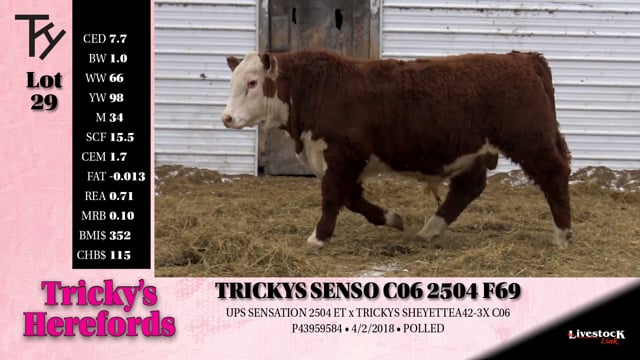 Lot #29 - TRICKYS SENSO C06 2504 F69