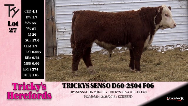 Lot #27 - TRICKYS SENSO D60-2504 F06