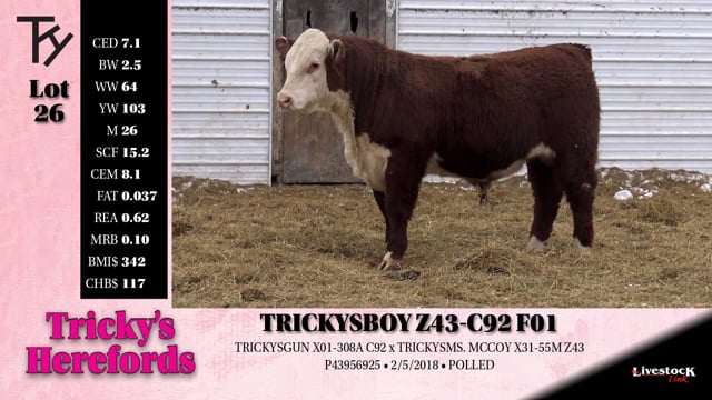 Lot #26 - TRICKYS BOY Z43-C92 F01