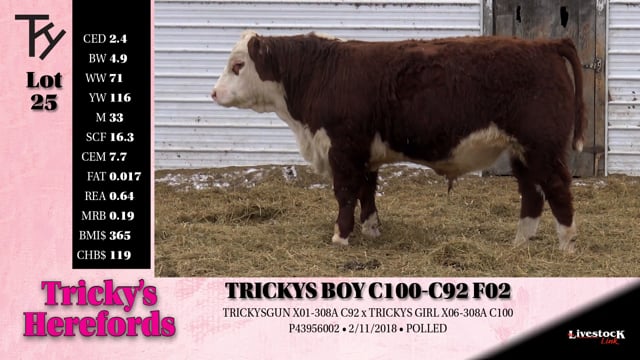 Lot #25 - TRICKYS BOY C100-C92 F02