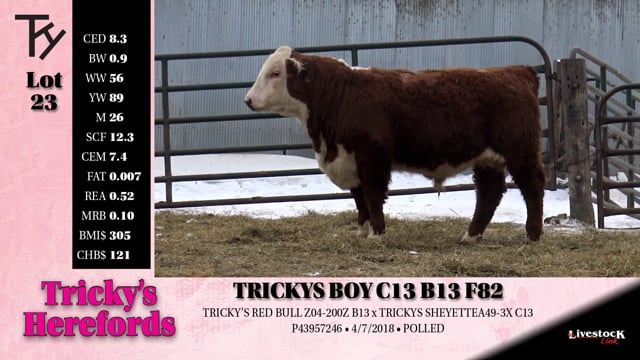 Lot #23 - TRICKYS BOY C13 B13 F82