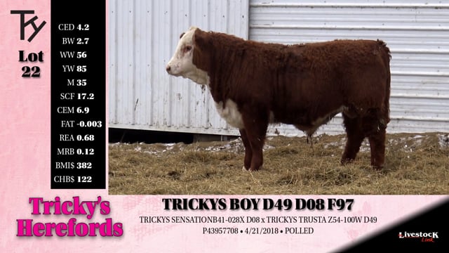 Lot #22 - TRICKYS BOY D49 D08 F97
